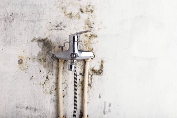 Best Mold Testing  in Mayflower Village, CA