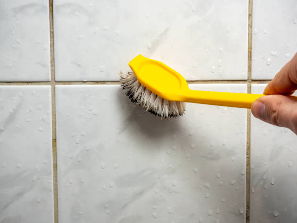 Best Best Mold Removal Companies  in Mayflower Village, CA