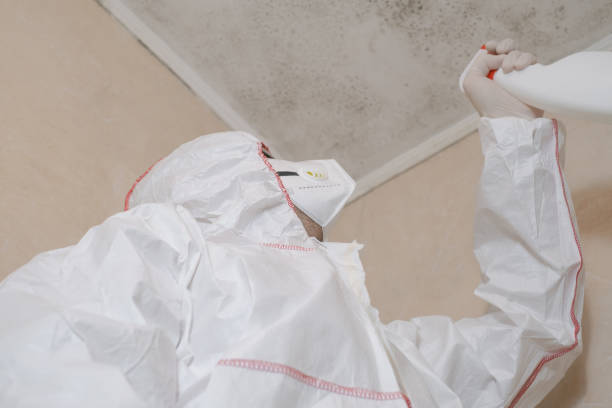 Best Mold Damage Repair  in Mayflower Village, CA