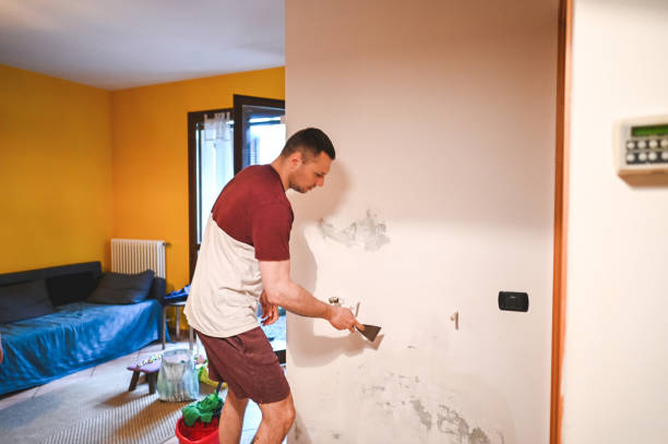 Certified Mold Removal in Mayflower Village, CA